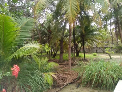 Fazenda/Sítio com 3 Quartos à venda, 4115m² no Jangurussu, Fortaleza