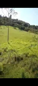 Fazenda/Sítio à venda, 107000m² no Centro, Casimiro de Abreu