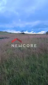 Fazenda/Sítio com 3 Quartos à venda, 290000m² no Centro, São Francisco de Paula