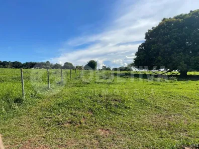 Fazenda/Sítio à venda, 5000m² no Jockey Camping, Uberlândia