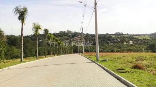 Lote/Terreno à venda, 290m² no Centro, Viamão