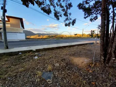 Lote/Terreno à venda, 820m² no Jardim Europa, Poços de Caldas