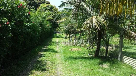 Fazenda/Sítio com 2 Quartos à venda, 150m² no Manoel Ribeiro (Ponta Negra), Maricá
