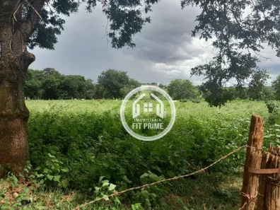 Lote/Terreno à venda, 45000m² no Fazenda São Pedro (Zona Rural), São José do Rio Preto