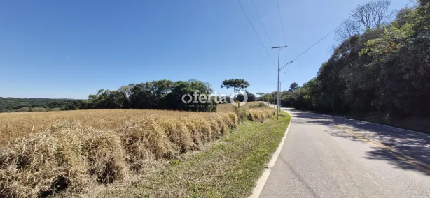 Fazenda/Sítio à venda, 119635m² no Área Rural de Araucária, Araucária