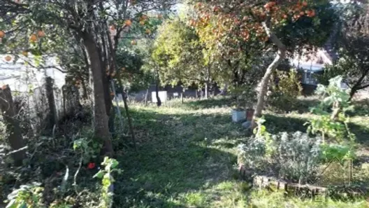 Lote/Terreno à venda, 542m² no Pio X, Caxias do Sul