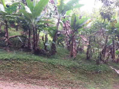 Lote/Terreno à venda, 351m² no Salto do Norte, Blumenau
