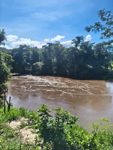 Fazenda/Sítio com 3 Quartos à venda, 303m² no Área Rural de Anápolis, Anápolis