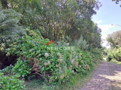 Lote/Terreno à venda, 600m² no Centro, São Francisco de Paula