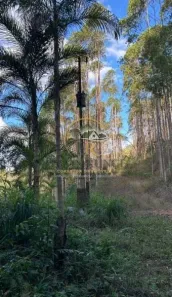 Lote/Terreno à venda, 100000m² no , Santa Maria de Jetibá