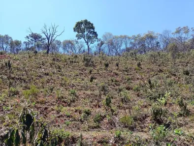Lote/Terreno à venda, 1m² no , Campos do Jordão