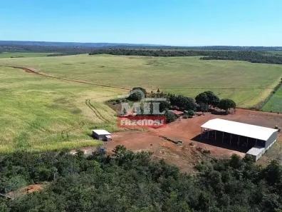 Fazenda/Sítio à venda, 500m² no Centro (Taquaralto), Palmas