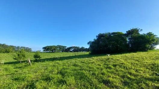 Fazenda/Sítio à venda, 186000m² no Santo Onofre, Viamão