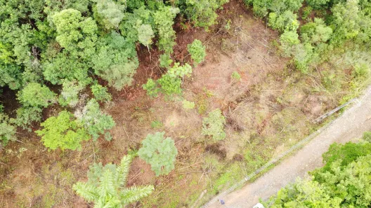 Lote/Terreno à venda, 5000m² no , Morretes