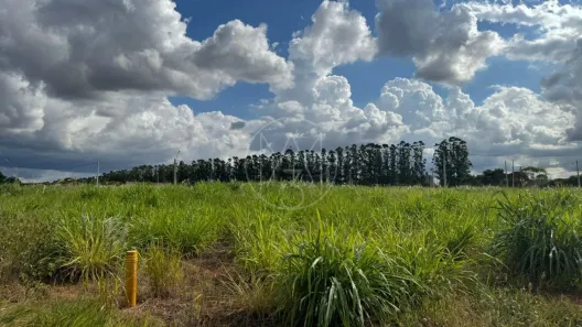 Lote/Terreno à venda, 302m² no Recanto dos Pássaros, Paulínia