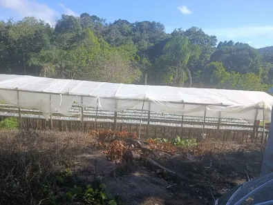 Fazenda/Sítio com 4 Quartos à venda, 121600m² no Três Córregos, Campo Largo