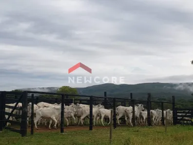 Fazenda/Sítio com 4 Quartos à venda, 400m² no , Buritis