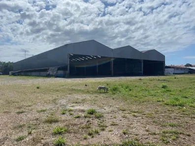 Galpão/Depósito/Armazém com 1 Quarto para alugar, 6000m² no Nova República, São Luís