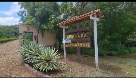 Fazenda/Sítio com 4 Quartos à venda, 250000m² no Gurupi, Teresina