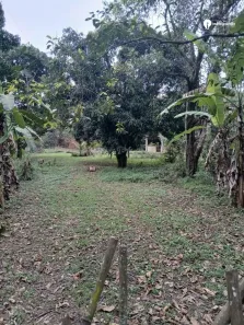 Lote/Terreno à venda, 10000m² no Luiz de Camões, Queimados