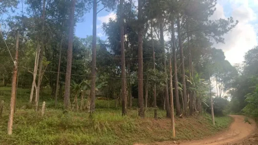 Fazenda/Sítio com 2 Quartos à venda, 100m² no Jardim das Cerejeiras, Cotia