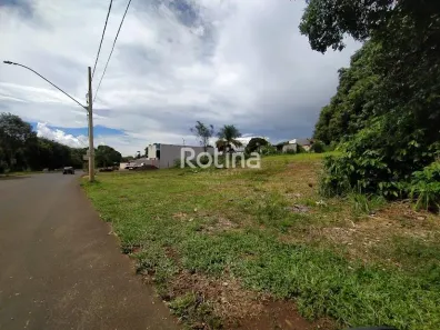 Lote/Terreno para alugar, 1100m² no Daniel Fonseca, Uberlândia