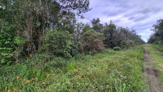 Lote/Terreno à venda, 1078m² no Gaivota (Interior), Itanhaém