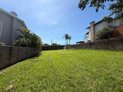 Lote/Terreno à venda, 610m² no Loteamento Alphaville Campinas, Campinas