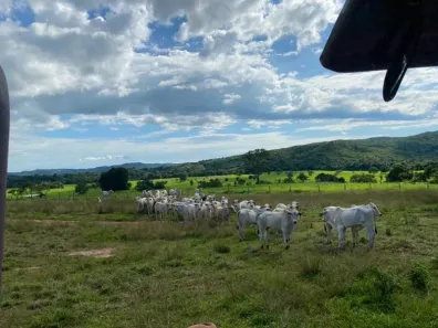 Fazenda/Sítio com 8 Quartos à venda, 1027m² no , Iporá