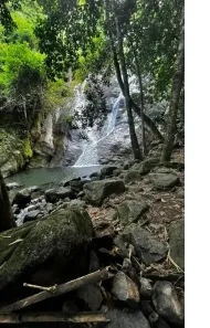 Fazenda/Sítio à venda, 10000m² no Tinguá, Nova Iguaçu