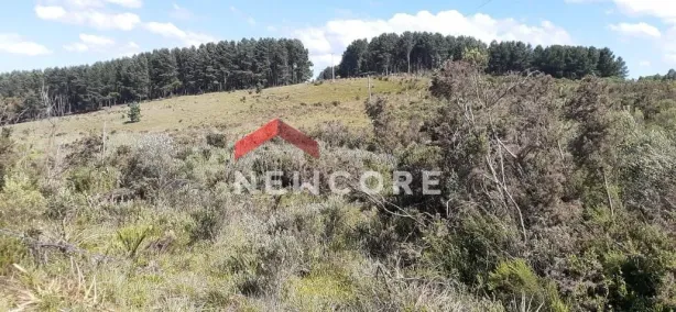 Fazenda/Sítio à venda, 25000m² no Centro, São Francisco de Paula