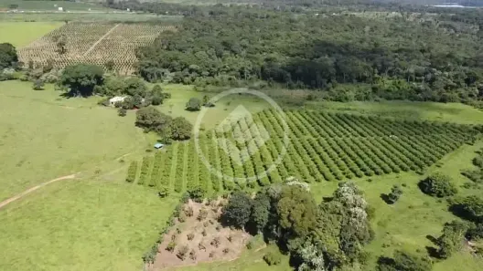 Fazenda/Sítio à venda, 353m² no , Rio Sono