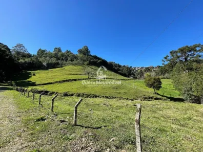 Lote/Terreno à venda, 18491m² no Bela Vista, Caxias do Sul