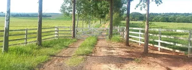 Fazenda/Sítio à venda, 3050200m² no , Loanda
