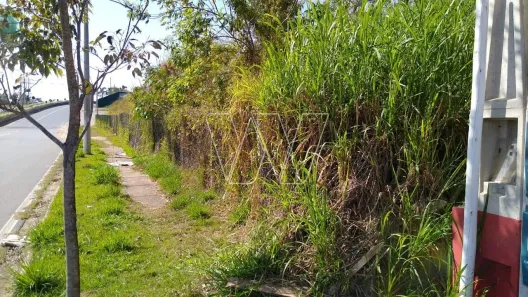 Lote/Terreno à venda, 3000m² no Loteamento Residencial Entre Verdes (Sousas), Campinas