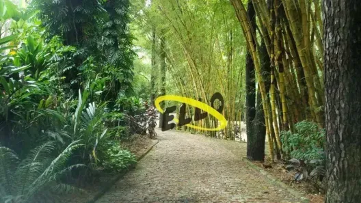Fazenda/Sítio com 4 Quartos à venda, 350m² no Vila Dirce, Serra Negra
