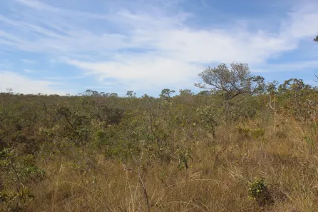 Lote/Terreno à venda, 337000m² no , Jaboticatubas