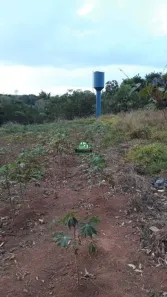Fazenda/Sítio à venda, 10506m² no Chácaras Vale das Antas, Anápolis