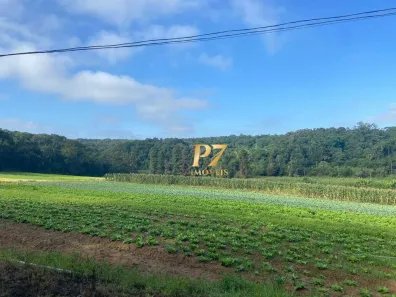 Lote/Terreno à venda, 194154m² no Vila Aparecida, Suzano