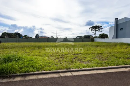 Lote/Terreno à venda, 300m² no Jardim Carvalho, Ponta Grossa