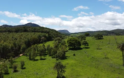Lote/Terreno à venda, 20000m² no , Caeté