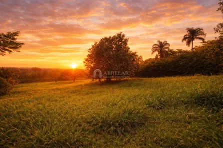 Lote/Terreno à venda, 5062m² no Condomínio Fazenda Duas Marias, Jaguariúna