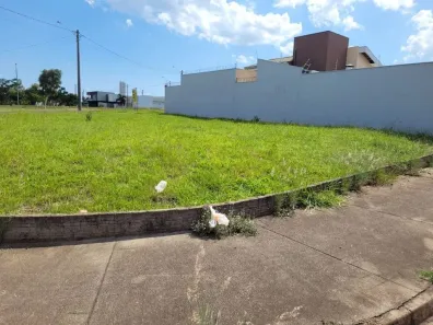 Lote/Terreno à venda, 204m² no Jardim Florença, Marília