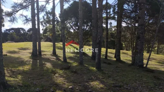 Lote/Terreno à venda, 400m² no Centro, São Francisco de Paula