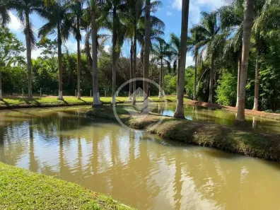 Fazenda/Sítio com 2 Quartos à venda, 9968m² no , Aragoiânia