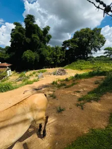 Lote/Terreno à venda, 1280m² no Santa Cândida, Vinhedo