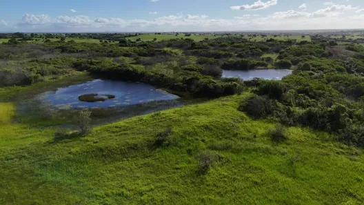 Fazenda/Sítio com 4 Quartos à venda, 300000m² no , Monte Alegre