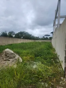 Lote/Terreno à venda, 343m² no Colônia Murici, São José dos Pinhais