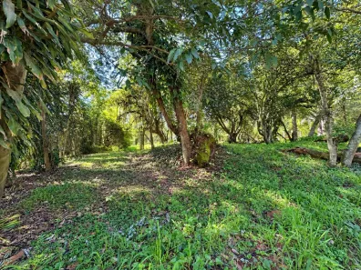 Fazenda/Sítio à venda, 14876m² no São Tomé, Viamão
