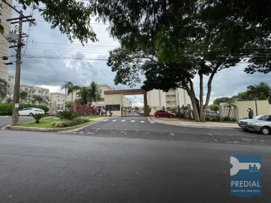 Apartamento com 2 Quartos para alugar, 45m² no Vila Boa Vista 1, São Carlos